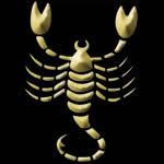 Skorpion Horoskop in acht Monaten, nächstes Jahr
